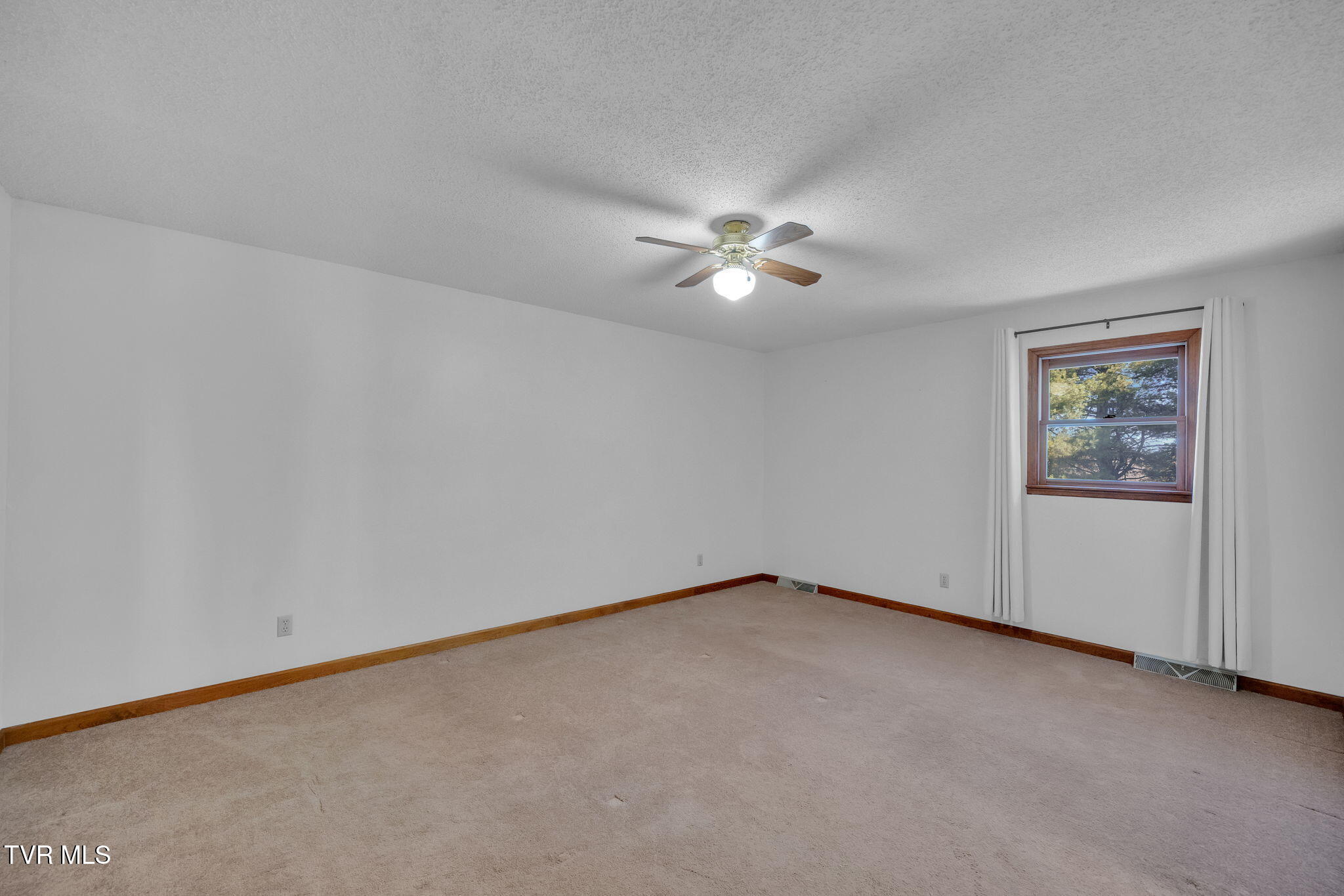 230 Warren Road Piney Flats, TN 37686 - Photo 19 of 39 16-web-or-mls-DSC09417