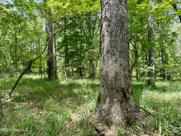 $299,500 | 6 Old Red Star Road, Wesson, MS 39191