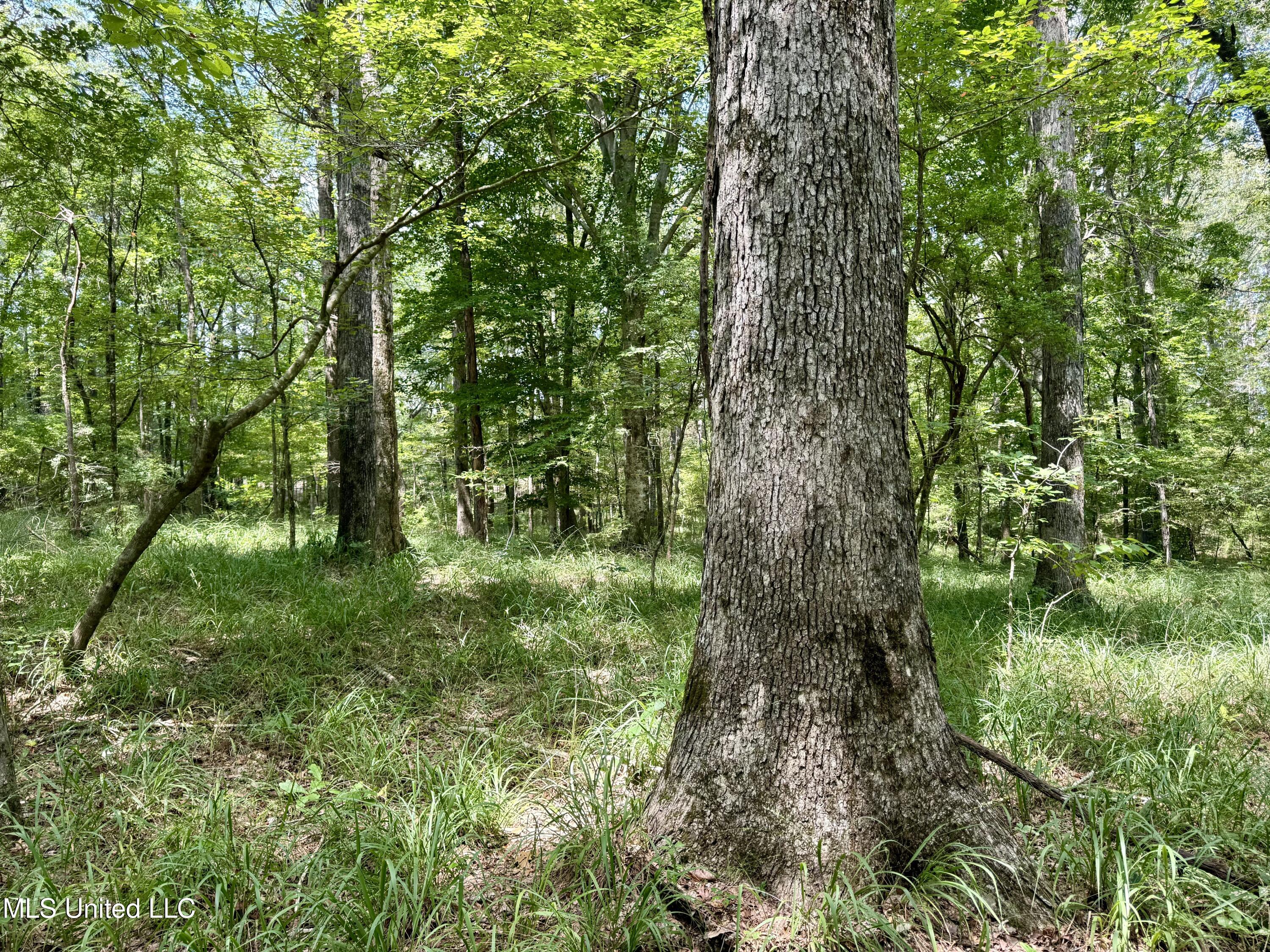 DD83FCDA-EC36-4CD5-BC9F-428FB056A4F1