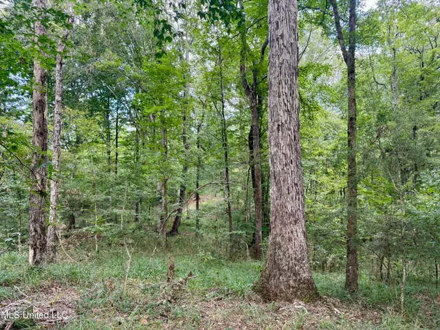 $299,500 | 6 Old Red Star Road, Wesson, MS 39191