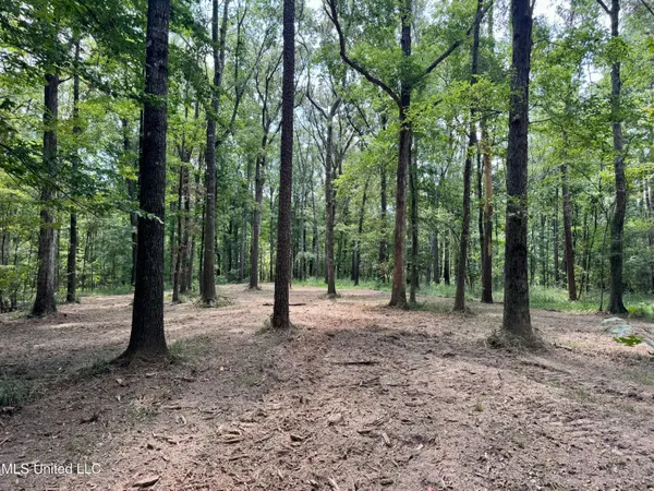 $299,500 | 6 Old Red Star Road, Wesson, MS 39191