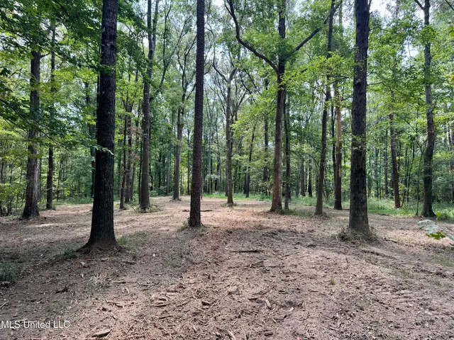 $299,500 | 6 Old Red Star Road, Wesson, MS 39191