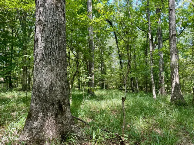 $299,500 | 6 Old Red Star Road, Wesson, MS 39191