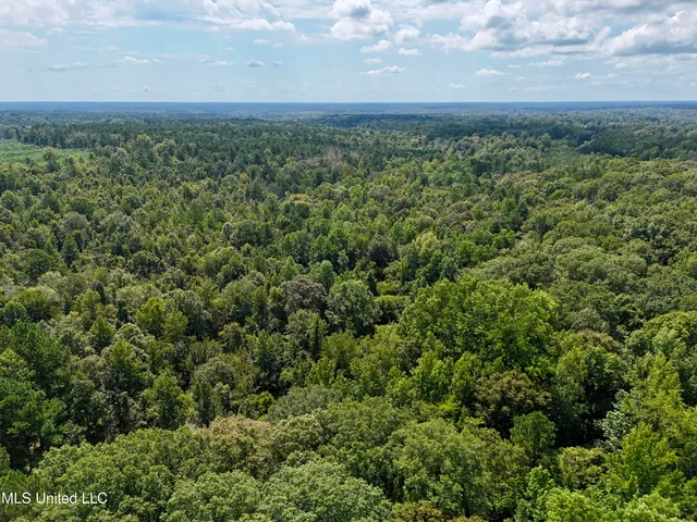 $299,500 | 6 Old Red Star Road, Wesson, MS 39191