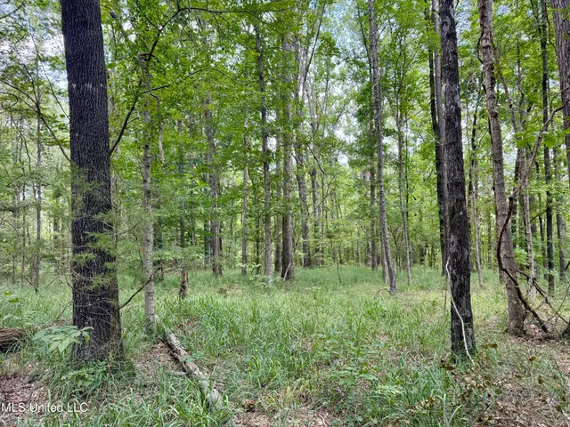 $299,500 | 6 Old Red Star Road, Wesson, MS 39191