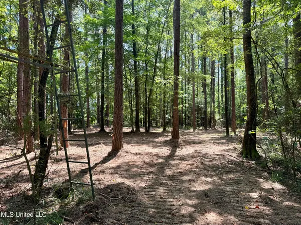 $299,500 | 6 Old Red Star Road, Wesson, MS 39191
