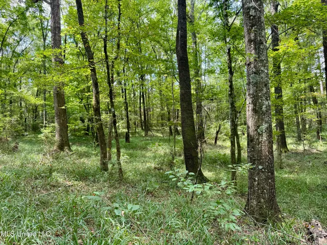 $299,500 | 6 Old Red Star Road, Wesson, MS 39191