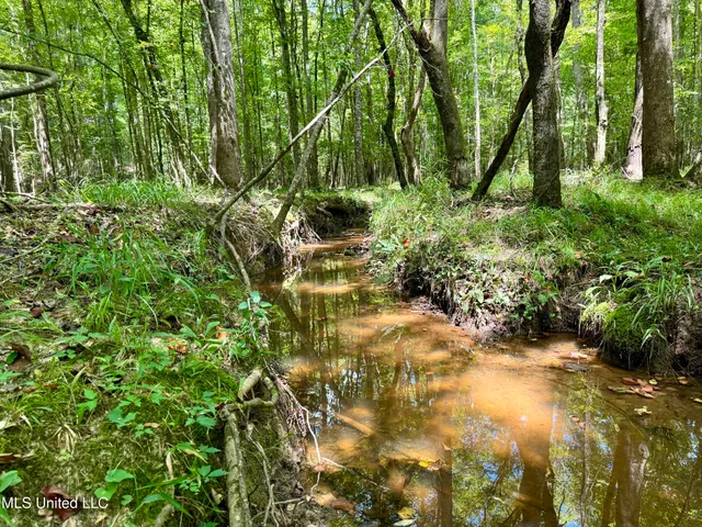 $299,500 | 6 Old Red Star Road, Wesson, MS 39191