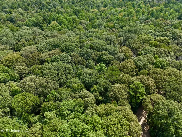 $299,500 | 6 Old Red Star Road, Wesson, MS 39191