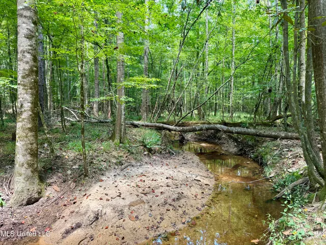 $299,500 | 6 Old Red Star Road, Wesson, MS 39191