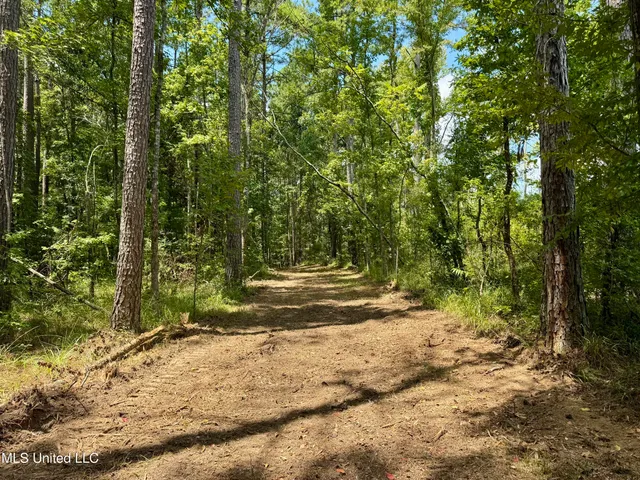$299,500 | 6 Old Red Star Road, Wesson, MS 39191