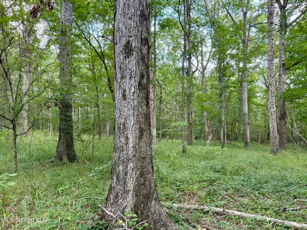 $299,500 | 6 Old Red Star Road, Wesson, MS 39191