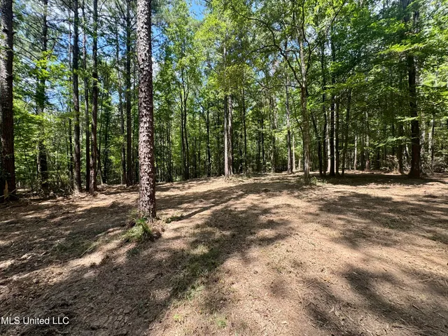 $299,500 | 6 Old Red Star Road, Wesson, MS 39191
