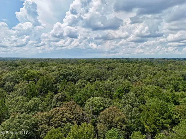$299,500 | 6 Old Red Star Road, Wesson, MS 39191