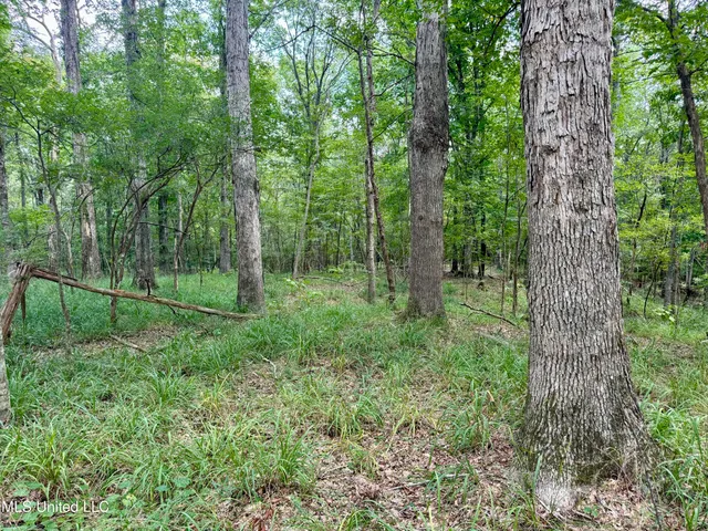 $299,500 | 6 Old Red Star Road, Wesson, MS 39191