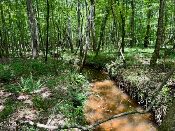 $299,500 | 6 Old Red Star Road, Wesson, MS 39191