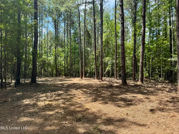 $299,500 | 6 Old Red Star Road, Wesson, MS 39191
