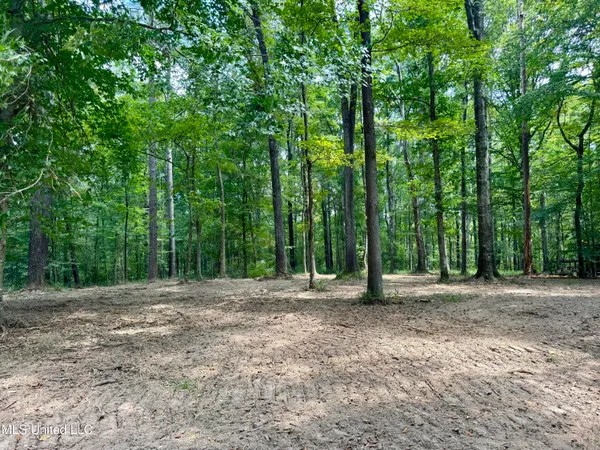 $299,500 | 6 Old Red Star Road, Wesson, MS 39191