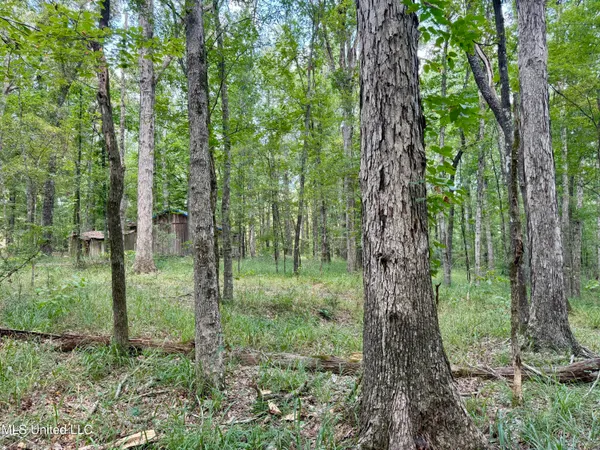 $299,500 | 6 Old Red Star Road, Wesson, MS 39191