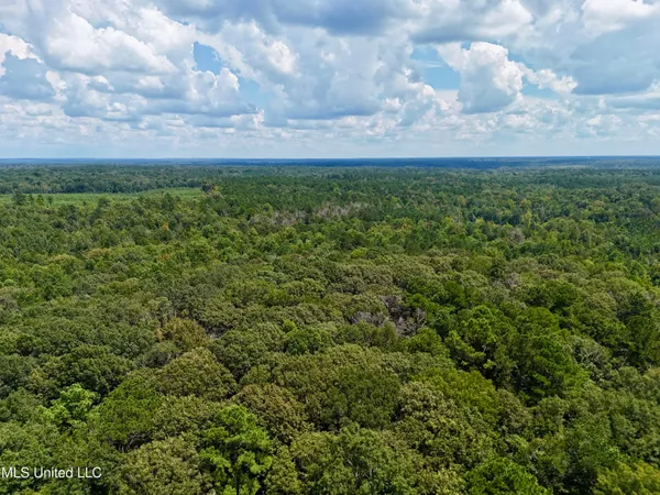 $299,500 | 6 Old Red Star Road, Wesson, MS 39191