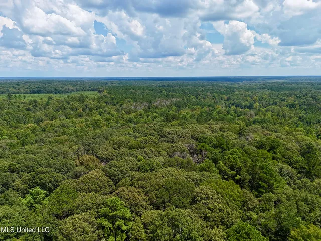 $299,500 | 6 Old Red Star Road, Wesson, MS 39191