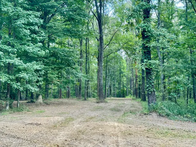 $299,500 | 6 Old Red Star Road, Wesson, MS 39191