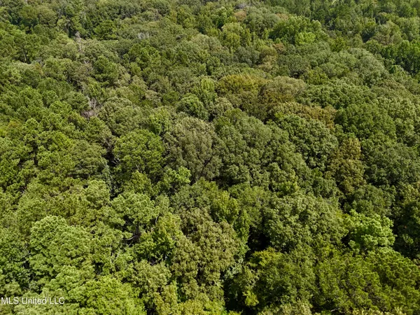 $299,500 | 6 Old Red Star Road, Wesson, MS 39191