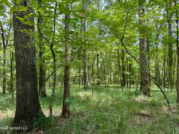 $299,500 | 6 Old Red Star Road, Wesson, MS 39191