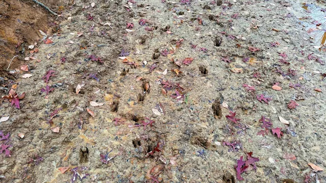 $999,900 | 0 N Tunnel, Unionville, IN 47468