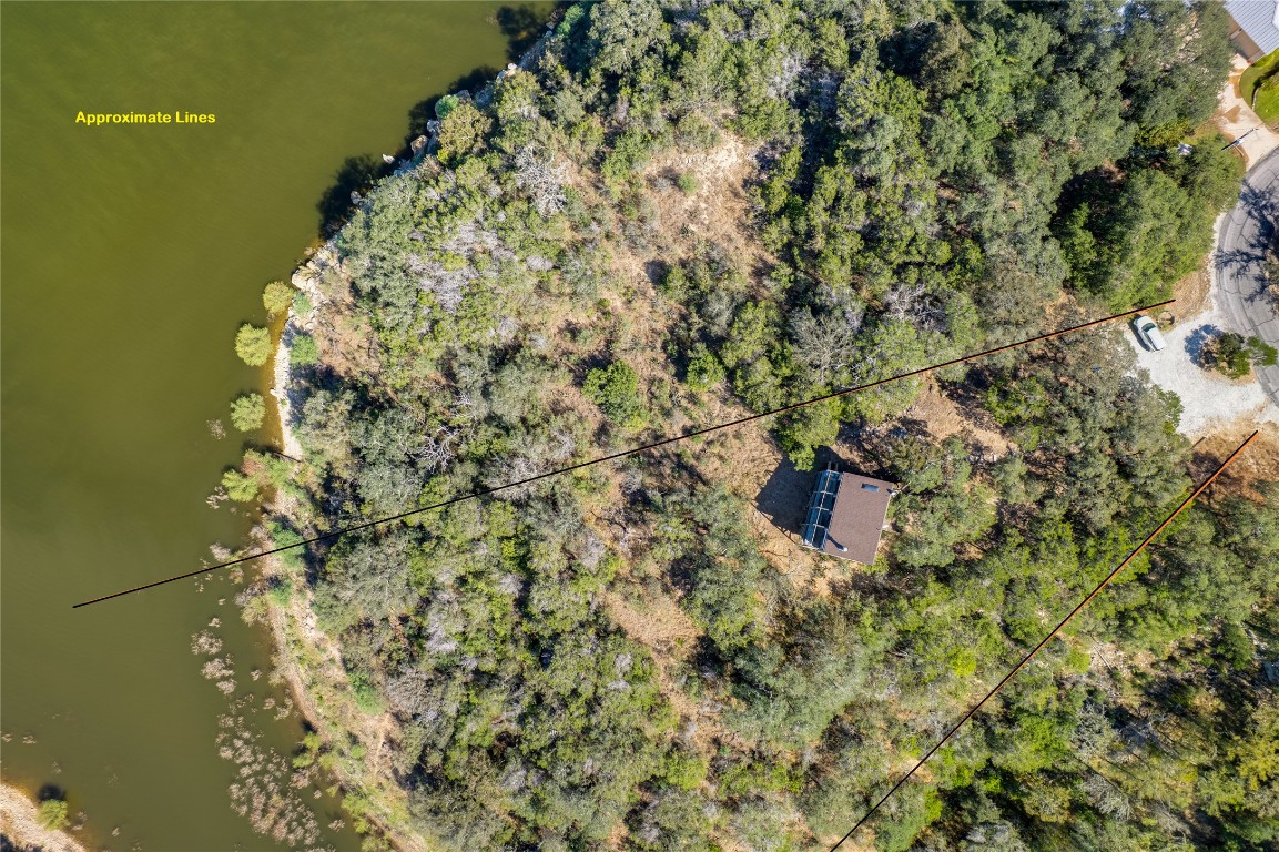 501 Coventry Road Spicewood, TX 78669 - Photo 24 of 24 a close up of a plant in a garden