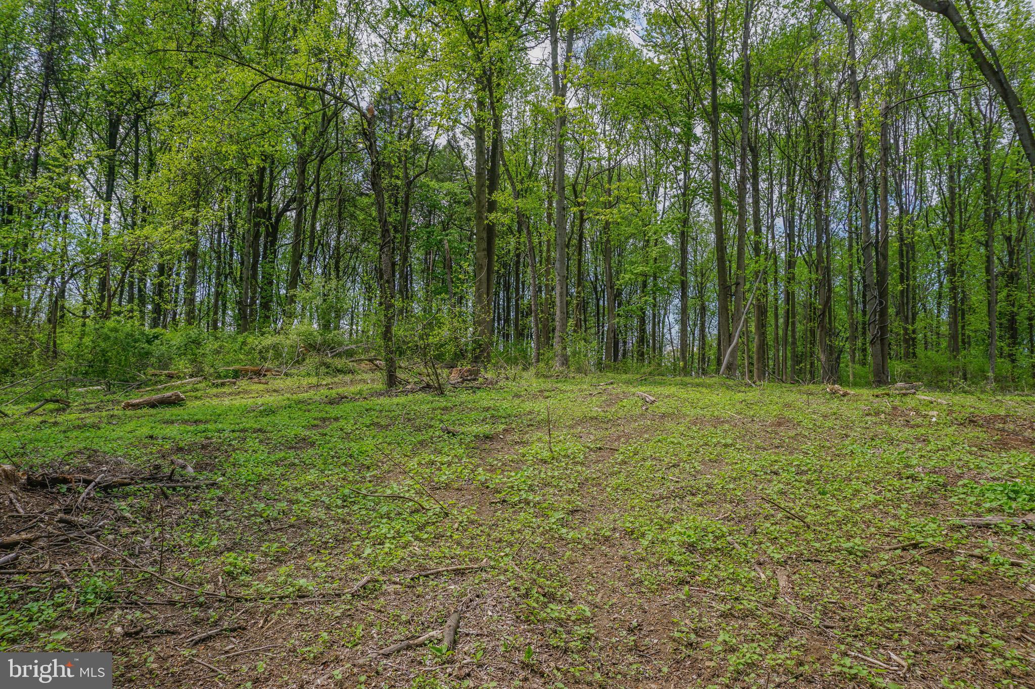 0 Old York Road New Cumberland, PA 17070 - Photo 23 of 38 Gallery Image 23