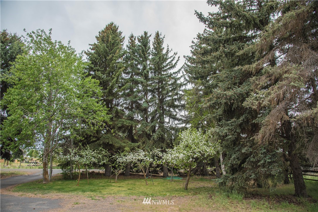 490 Brown Road Ellensburg, WA 98926 - Photo 26 of 28 Gallery Image 26