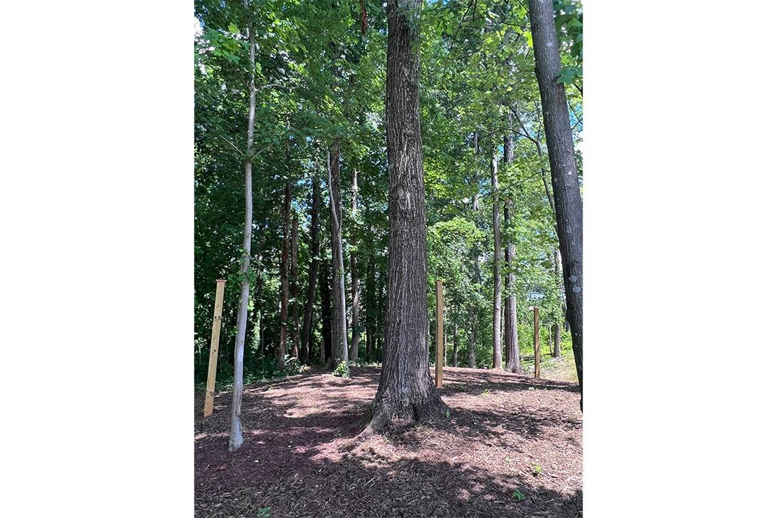 2043 Evolve Way Charlotte, NC 28205 - Photo 25 of 28