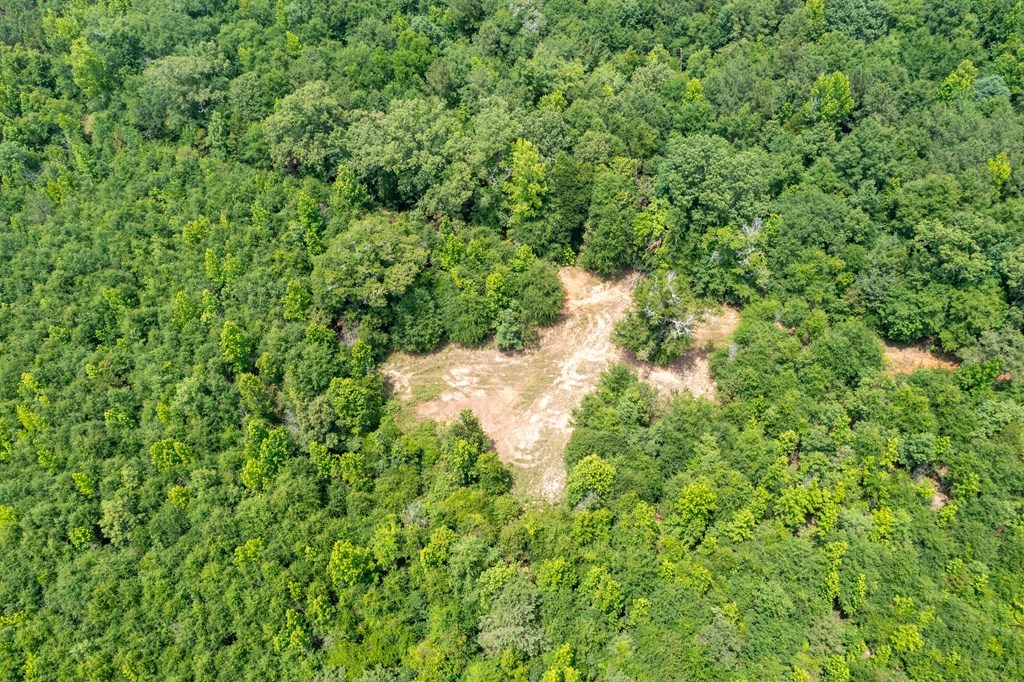 3 Comers Pond Road Pittsview, AL 36871 - Photo 6 of 51