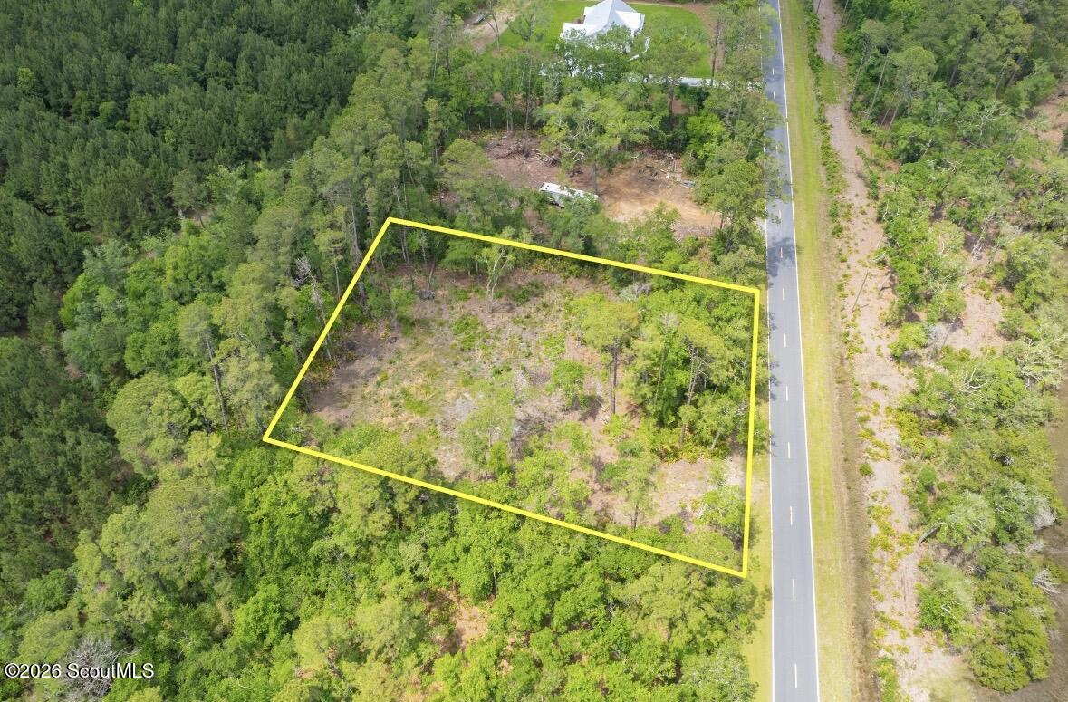 0 Piney Bluff Road Waverly, GA 31565 - Photo 6 of 26 IMG_9122