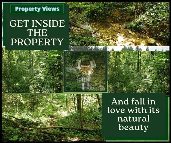 $37,773 | Lake Harbor Trail, Gainesville, GA 30501