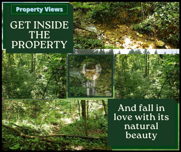 Lake Harbor Trail Gainesville, GA 30501 - Photo 11 of 17