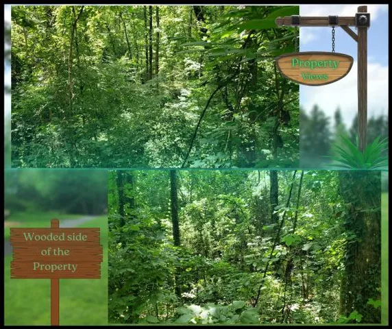 $37,773 | Lake Harbor Trail, Gainesville, GA 30501