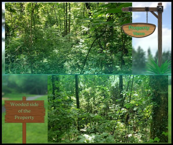 Lake Harbor Trail Gainesville, GA 30501 - Photo 12 of 17