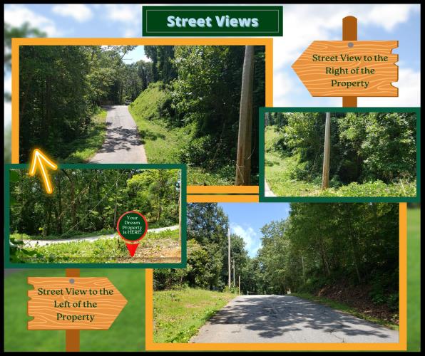 Lake Harbor Trail Gainesville, GA 30501 - Photo 9 of 17