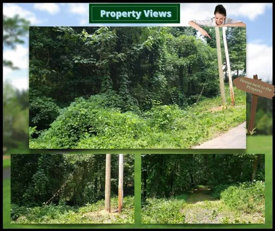 $37,773 | Lake Harbor Trail, Gainesville, GA 30501