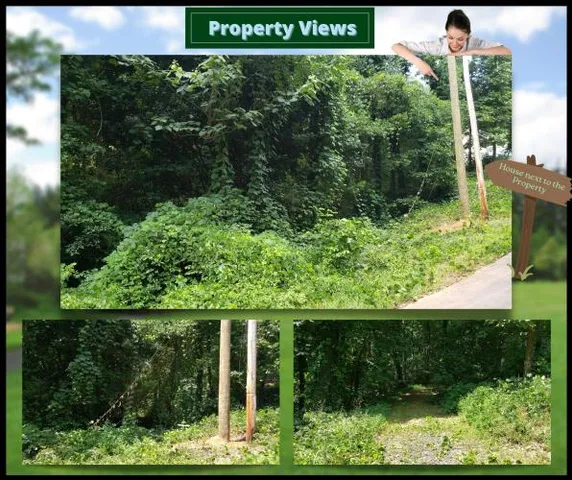 $37,773 | Lake Harbor Trail, Gainesville, GA 30501