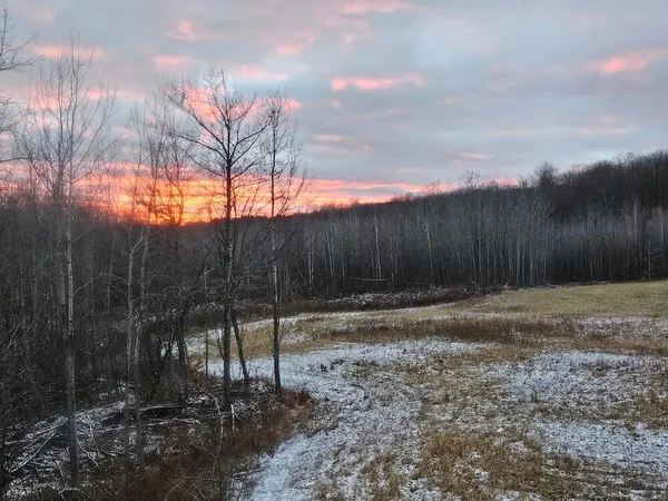 $239,000 | 72-acres West Miller Road, Mio, MI 48647