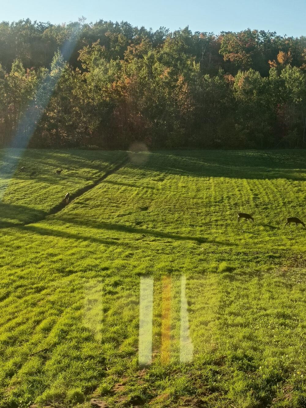 72-acres West Miller Road Mio, MI 48647 - Photo 11 of 65 10