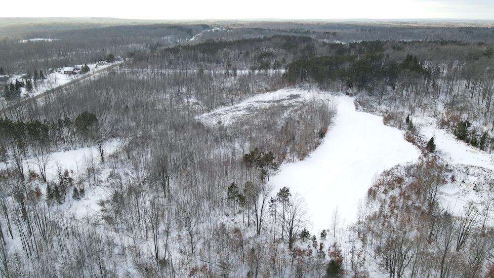 72-acres West Miller Road Mio, MI 48647 - Photo 19 of 65 DJI_0476