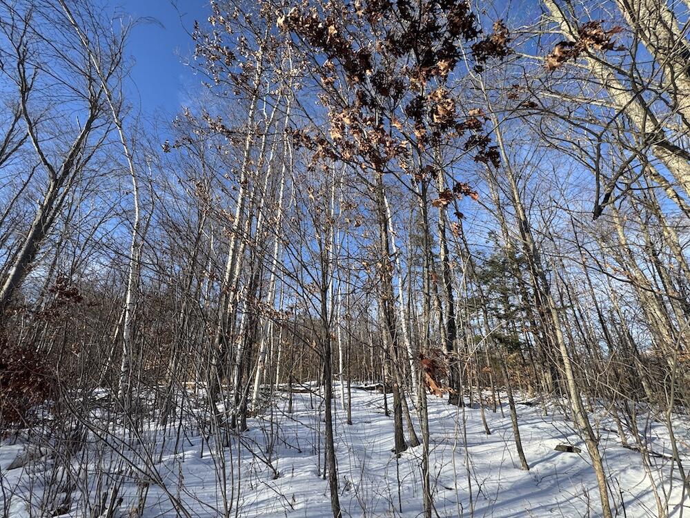 72-acres West Miller Road Mio, MI 48647 - Photo 2 of 65 1(1)