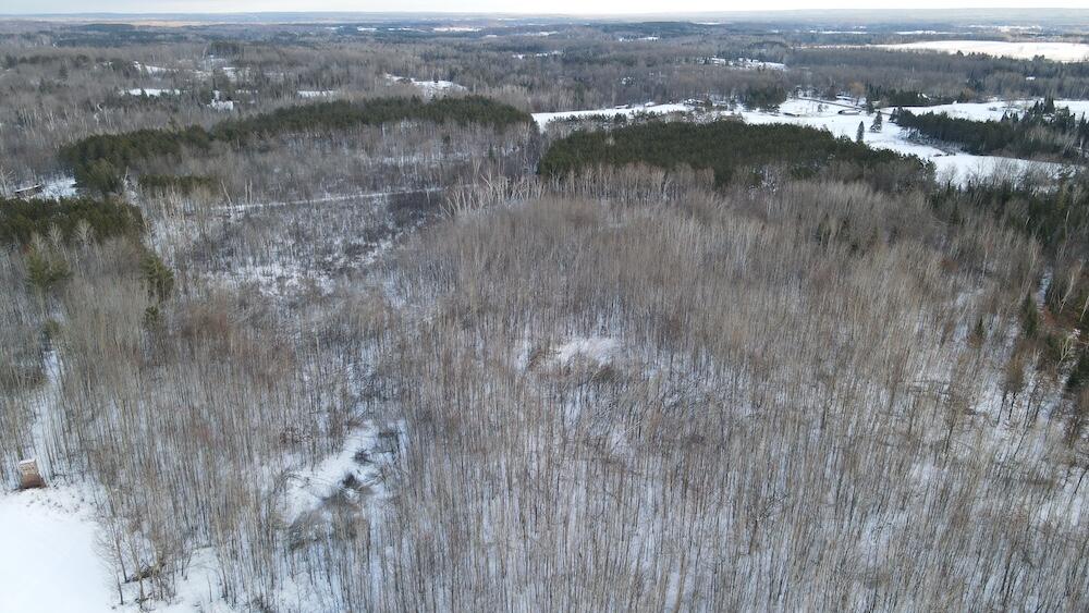 72-acres West Miller Road Mio, MI 48647 - Photo 23 of 65 DJI_0493