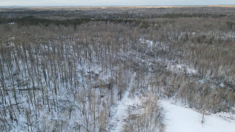 72-acres West Miller Road Mio, MI 48647 - Photo 25 of 65 DJI_0495