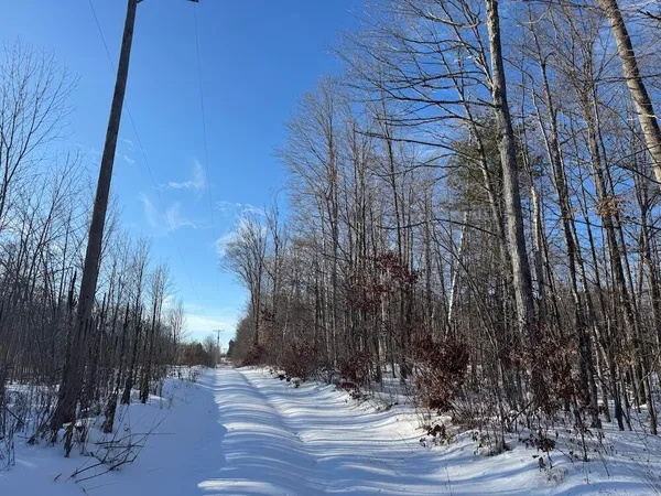 $239,000 | 72-acres West Miller Road, Mio, MI 48647