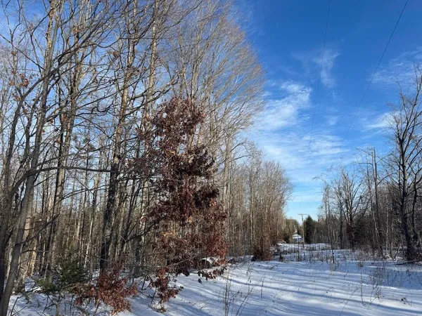 $239,000 | 72-acres West Miller Road, Mio, MI 48647